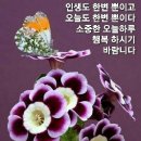 구재활용센터