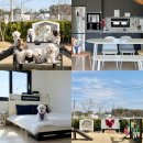 멍펜션5 | 대부도 애견펜션 멍라밸 독채 울타리 다견모임까지 가능한 곳