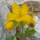 미래숲유치원 이미지