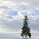 세븐일레븐 강릉노암스타점 | 삿포로 3박 4일 여행 ☃️ 3일차 | 비에이투어 훗카이도랩 상세후기