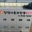 비손컴퍼니