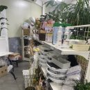 스마일화원 이미지