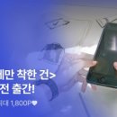 밤디농장 네이버블로그