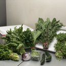 천두농장 이미지