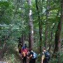 지리산거림계곡 이미지