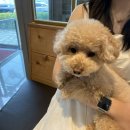 MS동물병원 이미지