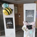 수정피아노교습소 이미지