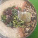 빗돌배기마을 이미지