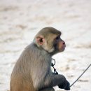 이플동물병원 이미지