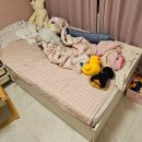 울릉도이사부호텔식당 | [주간일기] 2026년 5월 2주(울릉도 독도 여행, 어버이날 선물, 테니스 대회, 이사준비)