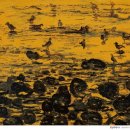 바람의바다 이미지