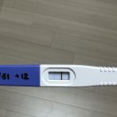[40대 임신이야기9/시험관 1차 이식 이후 임신 확인까지]