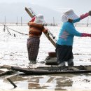 (유)보성산업 이미지