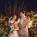 텔레스코프 이미지