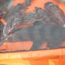 서천운동장 이미지