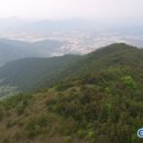 조산목장 이미지