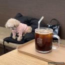 세경3차 | 원주 단계동 넓고 깔끔한 실내애견카페 르브쑝 LE BEAU CHIEN