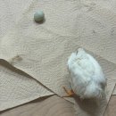 셀프넷PC방 | 8월 일상 마이 늦었죠..?