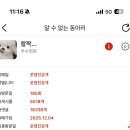 얘들아 진지하게 그냥 소신발언 하나만 해도 될가 이미지