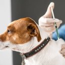 한마음동물의료원 이미지