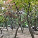 금원수목원수영장 이미지