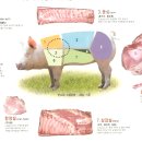 제주돌삼겹 | 돼지고기, 돈육, Pork, 부위, 등급, 영양, 요리