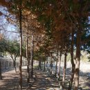 완산-9 이미지