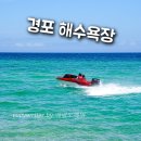 강릉 경포 해변 해수욕장 강원도 바다 추천 뚜벅이여행