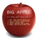 빅애플스윙
