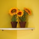 푸른나래펜션 이미지