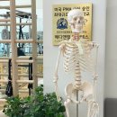 역삼 필라테스 자세교정 전문 메디앤컬필라테스 역삼점 개인레슨 후기