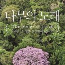 조은인터내셔널 이미지