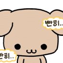 김필남칼국수 이미지