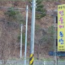 대굴령민들레동산 이미지