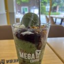 메가MGC커피 원주유승점 | 메가커피 신메뉴 말차젤라또 팥빙파르페💚