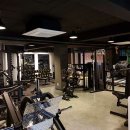 테라피트 이미지