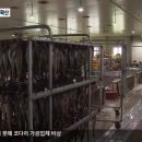 해담맛집코다리마을 이미지