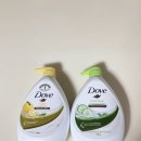 네고왕 도브 바디워시 유자향 🍋 큐컴버 그린티 🥒 후기