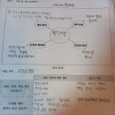 (아무거나)1503 고현석/주제:법/제도(민식이법을 반대한다.) 이미지