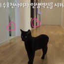 다홍 엑스포츠뉴스