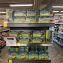 포인트마트 신동점 | [일상] 연희동 사러가 마트, 탭스터 연희, 필스너 생맥주 맛집, 주말 오픈런 &amp; 피자 조기 소진 후기