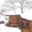쌍둥이네민박 이미지