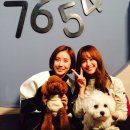 소나무하우스 이미지