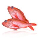 대산크린 이미지