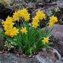 나무향기펜션 이미지