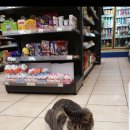 쉼터편의점 이미지