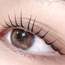 스튜디오215 이미지