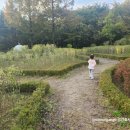 초록공원 농구장 이미지