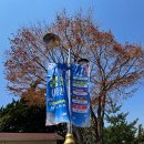 동산빌딩 | 원미산 진달래 동산 절정~2025.04. 06