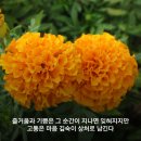 9월 축제 일정표 이미지